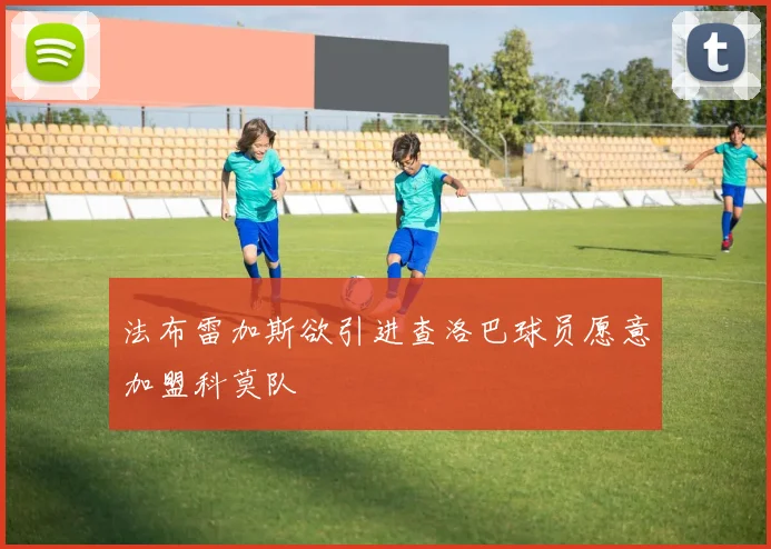 法布雷加斯欲引进查洛巴球员愿意加盟科莫队