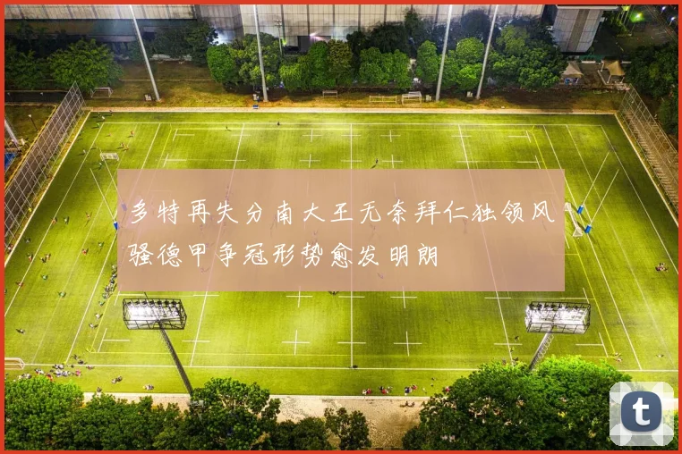 多特再失分南大王无奈拜仁独领风骚德甲争冠形势愈发明朗