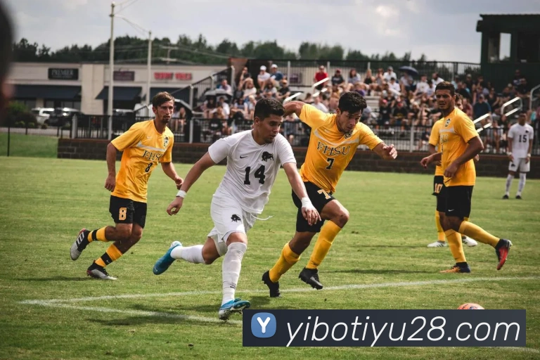 亿博体育平台生态图